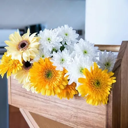 Vakantiehuis Casa Pombalinho, An Old Fisherman *